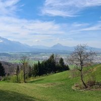 Blick auf Salzburg und die Bergwelt