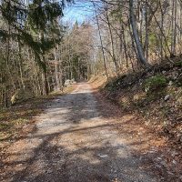 Wanderweg hinter Oberjudenberg