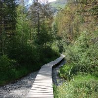 25/44 - Wanderweg zur Hängebrücke / zum Gletschergarten