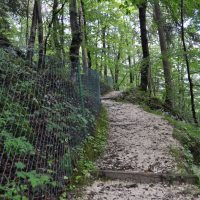 06/18 - Wanderweg zu den Sprungschanzen am Kälberstein