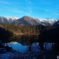 11/31 - am Freibergsee